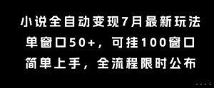小说全自动变现7月玩法，单窗口50+，可挂100窗口，简单上手，全流程限时公布【揭秘】-网创资源站