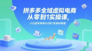 拼多多全域虚拟电商从零到1实操课，小白虚拟电商从0到1实操到精通-网创资源站