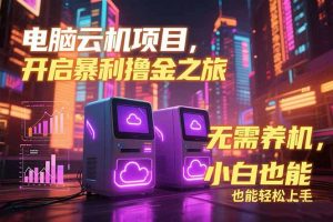 电脑云机项目 暴力撸金玩法，不需要养机 配置没有要求 单机100个窗口一…-网创资源站