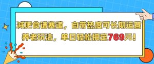 减肥食谱赛道，自带热度可长期运营，养老玩法，单日轻松搞定769-网创资源站