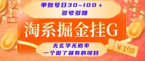 淘系掘金挂G项目，单账号日收益30~100+，多号多得，一个做了就有的项目【揭秘】-网创资源站