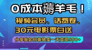 0成本薅羊毛!视频会员、话费卷、30元电影票白送，分享我如何靠转卖一天变现5张+【揭秘】-网创资源站