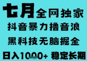 7月最新风口抖音无人直播撸音浪，长期稳定，非短期，全自动运行，低门槛无脑，日入1k+【揭秘】-网创资源站