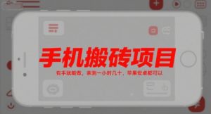手机搬砖项目，有手就能做，亲测一小时几十，苹果安卓都可以-网创资源站