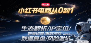 小红书电商从0到1:生态解析/IP定位/ 账号运营/爆款创作/直播带货/数据复盘/风险避坑-网创资源站