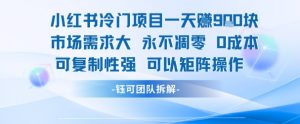 小红书冷门项目一天收益9张，市场需求大，0成本，可复制性强可以矩阵操作-网创资源站
