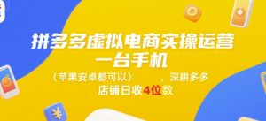 拼多多虚拟电商实操运营,一台手机(苹果安卓都可以),深耕多多店铺日收4位数-网创资源站