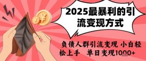 2025年最暴利的引流变现方式，负债人群引流变现，小白轻松上手，日入1k-网创资源站