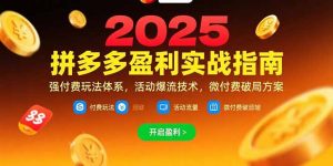 拼多多盈利实战指南,强付费玩法,活动爆流技术,微付费破局方案(更新7月-网创资源站