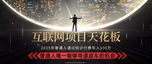 2025“互联网项目天花板”：不做韭菜，做镰刀！“月入 10W+ 普通人弯道…-网创资源站