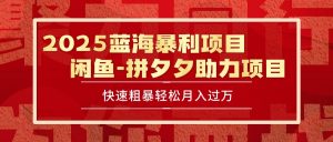 2025 最新闲鱼蓝海暴利项目 快速粗暴单号日入1000+,保姆级教程-网创资源站