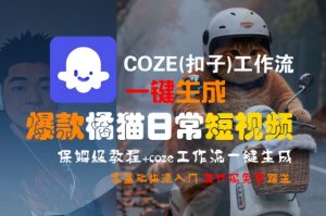 COZE(扣子)工作流一键生成爆款橘猫日常短视频，保姆级教程，零基础快速入门-网创资源站