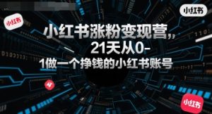 小红书涨粉变现营，21天从0-1做一个挣钱的小红书账号-网创资源站