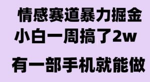 情感暴力掘金项目,新人操作一周挣了2W,长期稳定小白可做【揭秘】-网创资源站