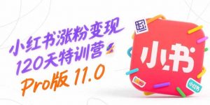 小红书涨粉变现120天特训营Pro版11.0：从0到1掌握平台运营,内容制作和变现-网创资源站