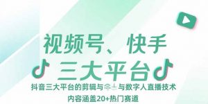 视频号、快手、抖音三大平台的剪辑与数字人直播技术,内容涵盖20+热门赛道-网创资源站