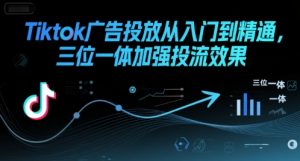 Tiktok广告投放从入门到精通，三位一体加强投流效果-网创资源站