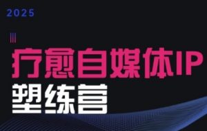 2025治愈自媒体IP训练营，专为疗愈领域从业者打造-网创资源站