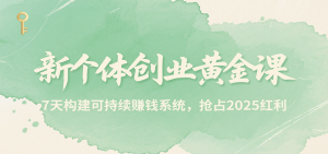 新个体创业黄金课，7天构建可持续赚钱系统，抢占2025红利-网创资源站