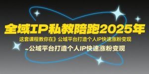 全域IP私教陪跑2025年，这套课程教你在公域平台打造个人IP快速涨粉变现-网创资源站