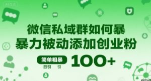微信私域群如何暴力被动添加创业粉，简单粗暴，日引100+-网创资源站
