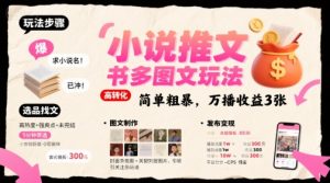 小说推文小红书多图文玩法，简单粗暴，万播收益3张-网创资源站