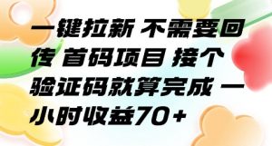 一键拉新 不需要回传 首码项目 接个验证码就算完成 一小时收益70+【揭秘】-网创资源站