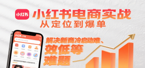 小红书电商实战，从定位到爆单解决新商冷启动难、变现效率低等难题-网创资源站
