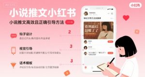 小说推文小红书高转化引导方法实操课，小说推文高效且正确引导方法-网创资源站