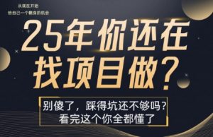 25年,你还在疯狂的找项目吗?别傻了,看完这个你都懂了【揭秘】-网创资源站
