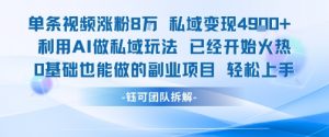 单条视频私域变现4.9k+利用AI做私域玩法 已经开始火热0基础也能做的副业项目轻松上手-网创资源站