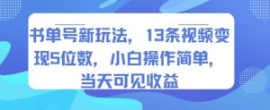 书单号新玩法，13条视频变现5位数，小白操作简单，当天可见收益-网创资源站