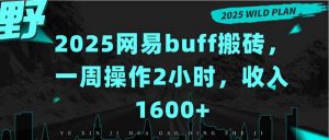 2025网易buff搬砖，一周操作2小时，收入1600+-网创资源站