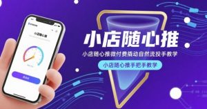 小店随心推微付费撬动自然流投手教学，小店随心推手把手教学-网创资源站