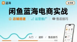 闲鱼蓝海电商实战,店铺搭建运营售后全流程-网创资源站