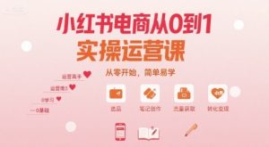 小红书电商从0到1实操运营课，从零开始，简单易学-网创资源站
