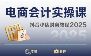电商会计实操课-抖音小店财务教程2025-网创资源站