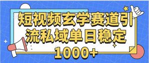 玄学赛道引流私域变现单日稳定1000+教程-网创资源站