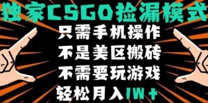 CSGO自动捡漏项目，最新独家玩法，不是美区搬砖，不需要了解和玩游戏，新手小白轻松月入1W+【揭秘】-网创资源站