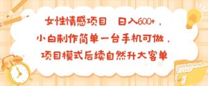 女性情感项目 小白制作简单一台手机可做 项目模式后续自然升大客单 日入6张-网创资源站
