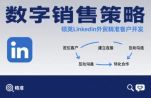 数字销售策略领英LinkedIn外贸精准客户开发-网创资源站