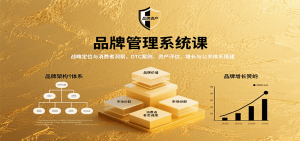 品牌管理系统课：战略定位与消费者洞察，DTC案例、资产评估，增长与公关体系搭建-网创资源站