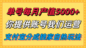 单月产值5000+,支付宝分成代运营,你提供账号坐等分钱,我们帮你运营-网创资源站