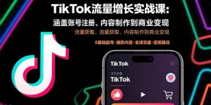 TikTok流量增长实战课：涵盖账号注册、流量获取、内容制作到商业变现-网创资源站