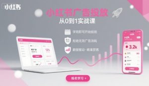 小红书广告投放从0到1的实战课,学完即可开始投放,拒绝无效广告消耗-网创资源站