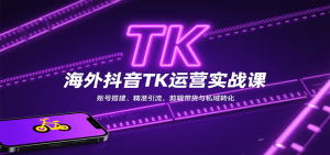 海外抖音TK运营实战课:账号搭建、精准引流、剪辑带货与私域转化-网创资源站