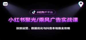 小红书聚光/乘风广告实战课：投放运营、数据优化与抖音本地推全攻略-网创资源站