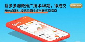 拼多多爆款推广技术48期，净成交与出价策略，极速起量时机判断实操指南-网创资源站