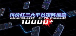 抖快红三大平台矩阵运营，12小时SOP实战+流量获取-风控-扩量，月引10000+线索-网创资源站