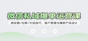 微信私域爆单运营课：朋友圈/社群/引流技巧，客户管理与爆款产品设计-网创资源站
